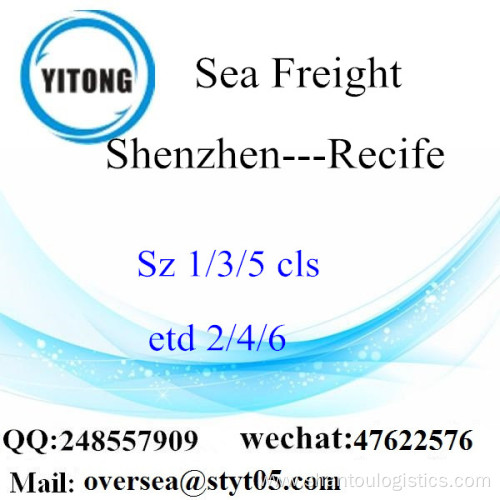 Shenzhen Port LCL Consolidation To Recife